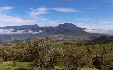 Vu sur la plaine des Caffres avec dans le fond le Piton des Neiges